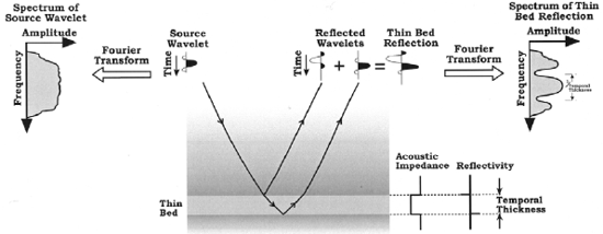 Figure 6 Source wavelet amplitude spectrum compared to the filtered spectrum resulting from interfering top and base reflections off a thin bed